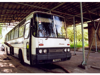 IKARUS 250.59 - Turistički autobus