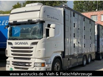 Kamion za prijevoz stoke Scania R 560 Topline Menke 4 Stock Hubdach: slika Kamion za prijevoz stoke Scania R 560 Topline Menke 4 Stock Hubdach
